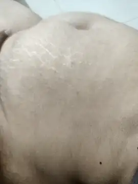 Sexy couple39 online show from November 20, 4:40 pm
