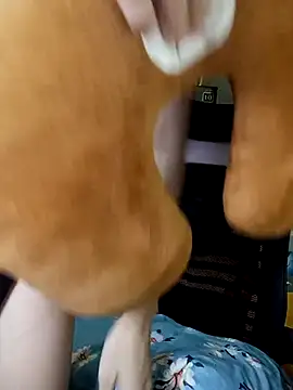 BiCute688 online show from November 1, 4:31 pm