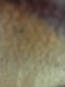 PEEHU-50 online show from February 2, 3:27 am