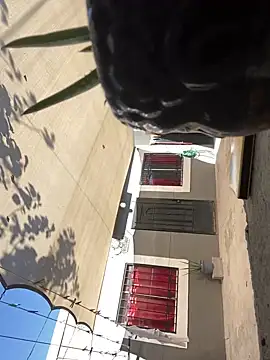 feetbooy online show from November 4, 8:19 pm