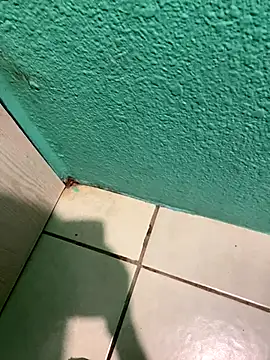 feetbooy online show from December 22, 12:18 am