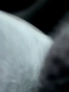 pleasedontpressaredburton online show from October 14, 2:29 pm