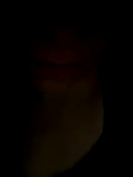 pleasedontpressaredburton online show from November 14, 1:04 am