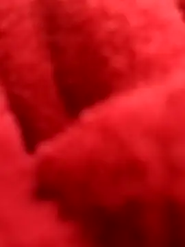 Snapshot of ProXydelhi chatting on February 7, 11:19 pm ProXydelhi online show from February 7, 11:19 pm