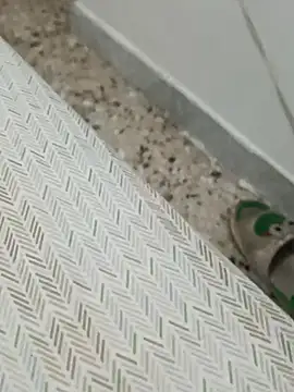 Snapshot of Lucastra98 chatting on November 5, 8:14 am Lucastra98 online show from November 5, 8:14 am