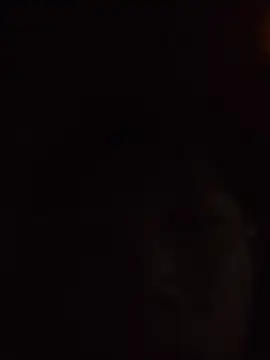 aooya online show from November 28, 1:47 pm