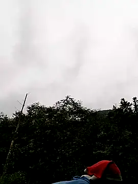 sumaybae online show from November 17, 1:55 am