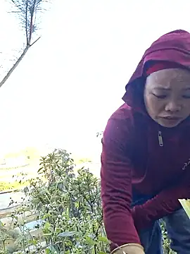 miomio-12 online show from November 25, 12:32 am