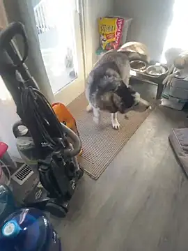 Jcaspen online show from March 9, 1:04 pm