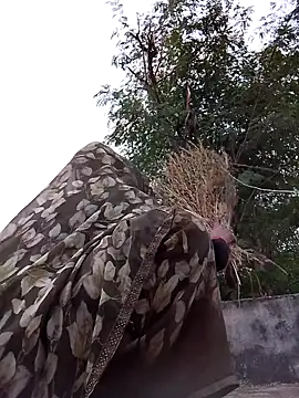 Hot eras36 online show from October 22, 11:54 am