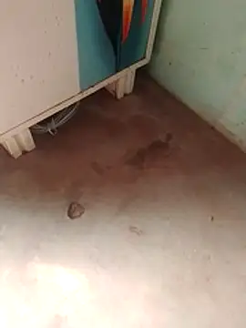 Tg sonam online show from December 23, 7:17 am