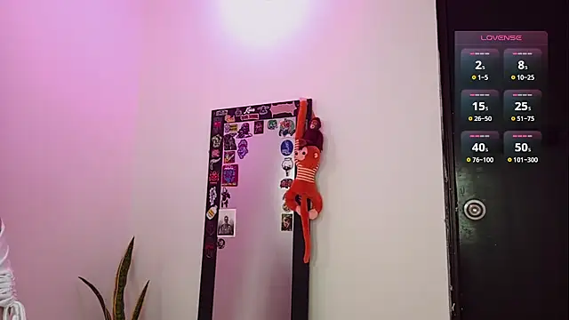 Brugmansia  online show from January 18, 4:05 am