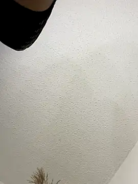 Snapshot of SiaraRealist chatting on October 15, 4:34 am SiaraRealist online show from October 15, 4:34 am