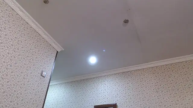 maybe doll online show from October 23, 9:46 pm