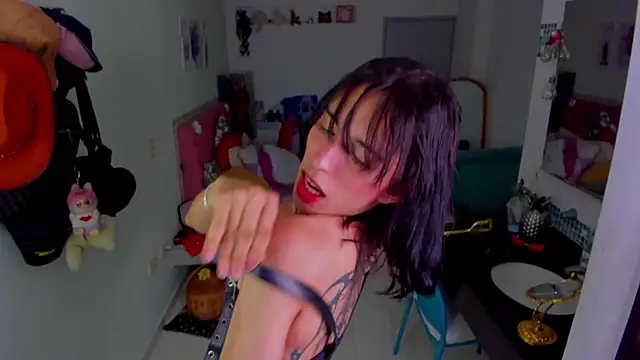 KittyChannel  online show from January 7, 7:00 am