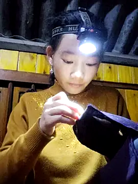 gio-thu online show from November 8, 4:29 pm