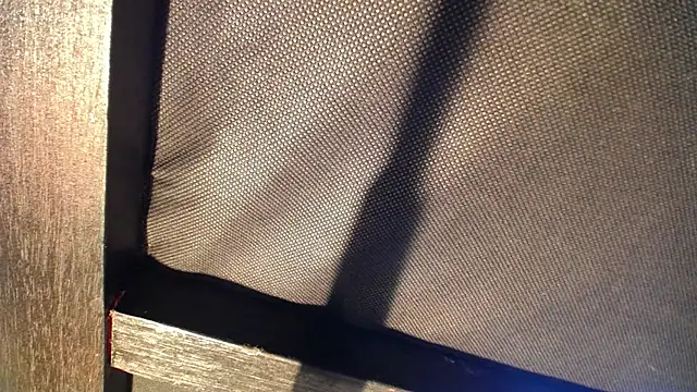 celeste solis online show from November 24, 8:19 pm