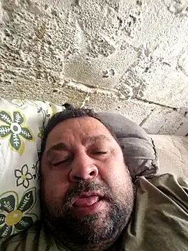 wallcava online show from November 15, 2:24 pm