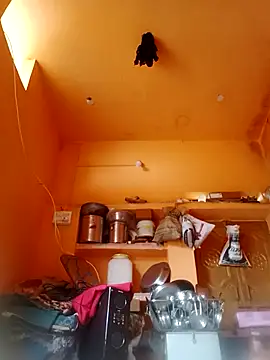 Abhilasha hot34 online show from December 21, 4:30 am