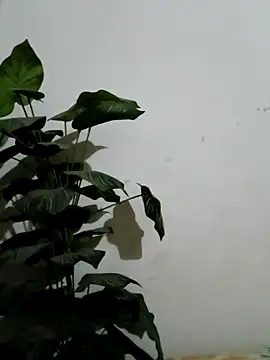 Jessica-03 online show from March 4, 4:57 pm