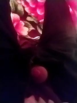 Playboyx143xh online show from November 17, 10:32 am