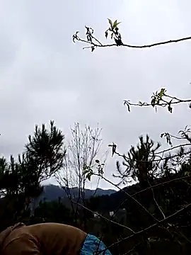 siusiu-00 online show from November 19, 12:54 am