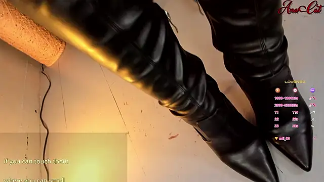 ana cat online show from March 11, 3:51 pm