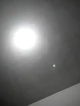 checheludo23 online show from February 25, 12:20 am