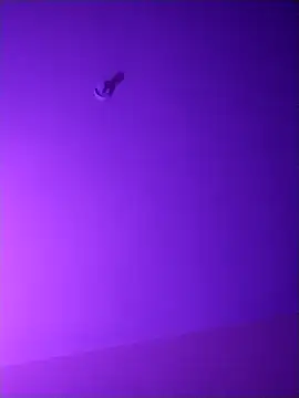 checheludo23 online show from April 16, 11:11 am