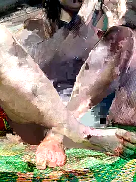 -Kem-01 online show from December 5, 1:09 pm