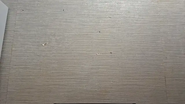 AstraVale online show from November 3, 8:26 am