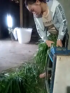 Myzak- online show from February 12, 11:55 pm