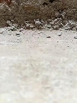 Rajni chauhan online show from March 25, 4:13 pm