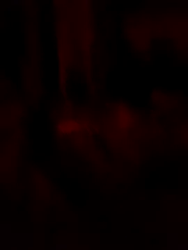Snapshot of goloso80 chatting on May 22, 2:51 am goloso80 online show from May 22, 2:51 am