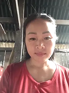 Spring-mky online show from November 11, 4:45 am