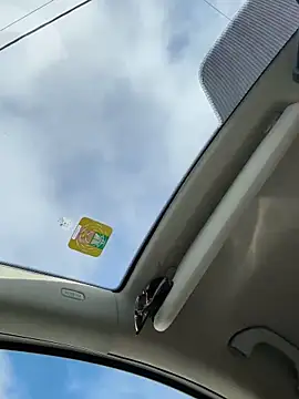 Snapshot of CrazyInTwo chatting on November 3, 8:15 am CrazyInTwo online show from November 3, 8:15 am