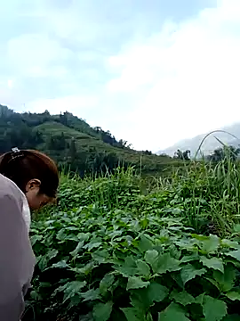 omai-ngot online show from November 15, 1:14 am