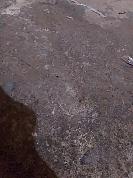 Orlao25cm online show from November 16, 4:40 am