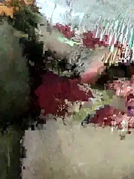 sexy 6hvhhh online show from October 26, 12:44 pm