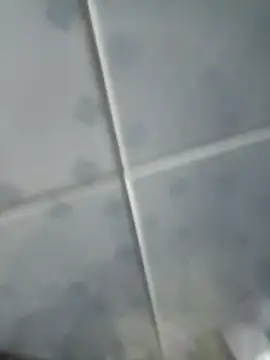 Snapshot of INTIMACY123 chatting on November 3, 2:57 am INTIMACY123 online show from November 3, 2:57 am