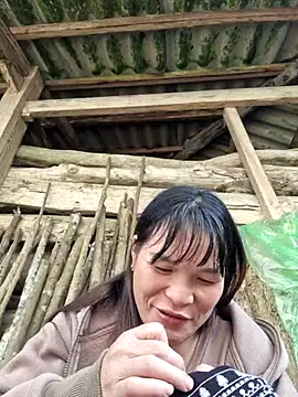 chipu06 online show from November 15, 3:37 am