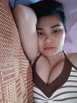 Bear bear0 online show from July 3, 5:58 am