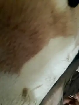 Snapshot of Perfect_size chatting on November 20, 8:58 am Perfect size online show from November 20, 8:58 am