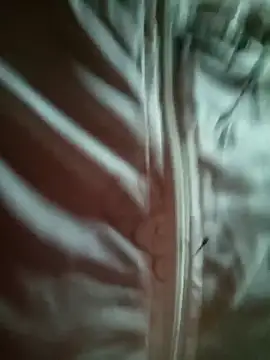 sowbibi online show from February 28, 5:41 am