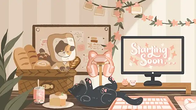 geekycastillo online show from November 26, 3:51 am