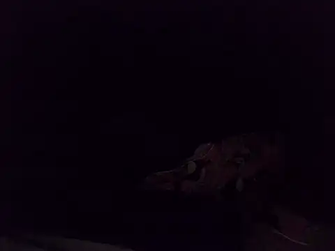 boldiva89 online show from October 25, 1:35 am