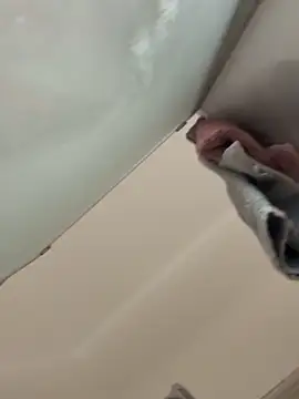 gatitalocahot online show from December 17, 8:04 pm