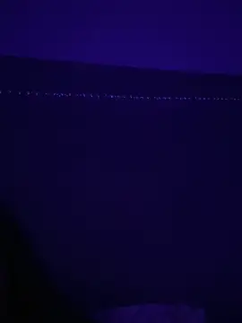 Gia Atkinson online show from October 24, 11:45 pm