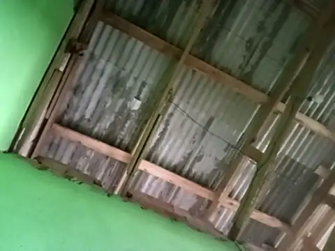 juniordotado87 online show from January 10, 11:45 am