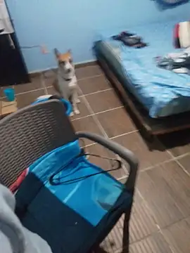 Snapshot of 666Daemon666 chatting on January 17, 5:12 am 666Daemon666 online show from January 17, 5:12 am